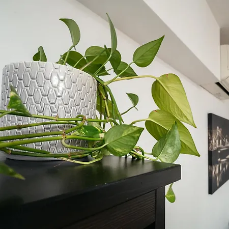 Cichy W Centrum Miasta - Balkon & Klimatyzacja - Riverside Vista By Uniquerent Апартаменты Вроцлав
