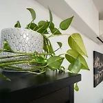 Cichy W Centrum Miasta - Balkon & Klimatyzacja - Riverside Vista By Uniquerent Διαμέρισμα Βρότσλαβ