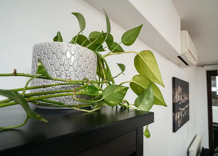 Cichy Nad Rzeka Riverside Vista By Uniquerent דירה ורוצלב